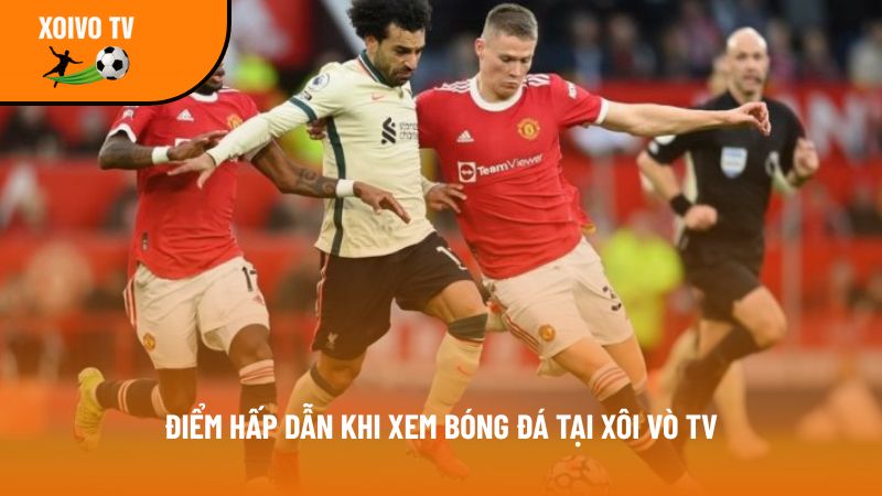 uu diem tai